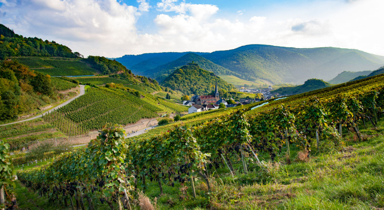 Ahrtal Mayschoß
