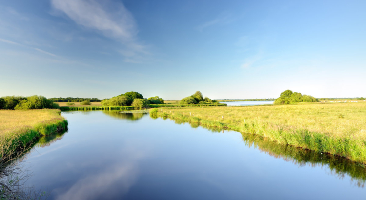 Niedersachsen Landschaft Foto TMN Tourismus-Monitor