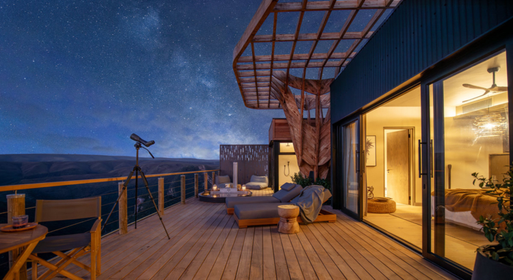 Mantis Hiddn in Addo Foto Accor