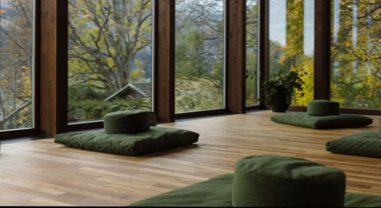 Bellevue Parkhotel Adelboden Mental Health Foto Bellevue Parkhotel Adelboden