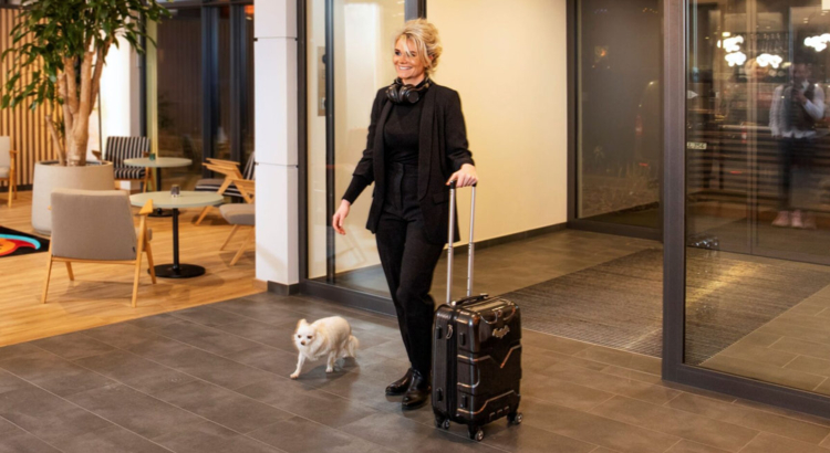 Achat Dresden Hunde Foto Achat Hotels