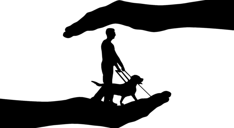 Assistenzhund Hund Foto iStock Viktor Aheiev
