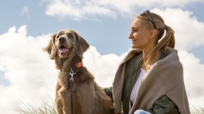 Arcona Hunde-Angebot Foto Arcona Hunter