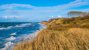 Darß Ahrenshoop