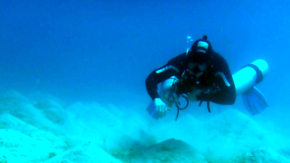 Tobias Dittrich Foto Tobias Dittrich