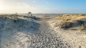 Deutschland Nordsee St Peter Ording Foto iStock Steimle